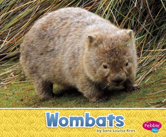 Un wombat brun se tient dans l'herbe. Le texte "Wombats" est visible.