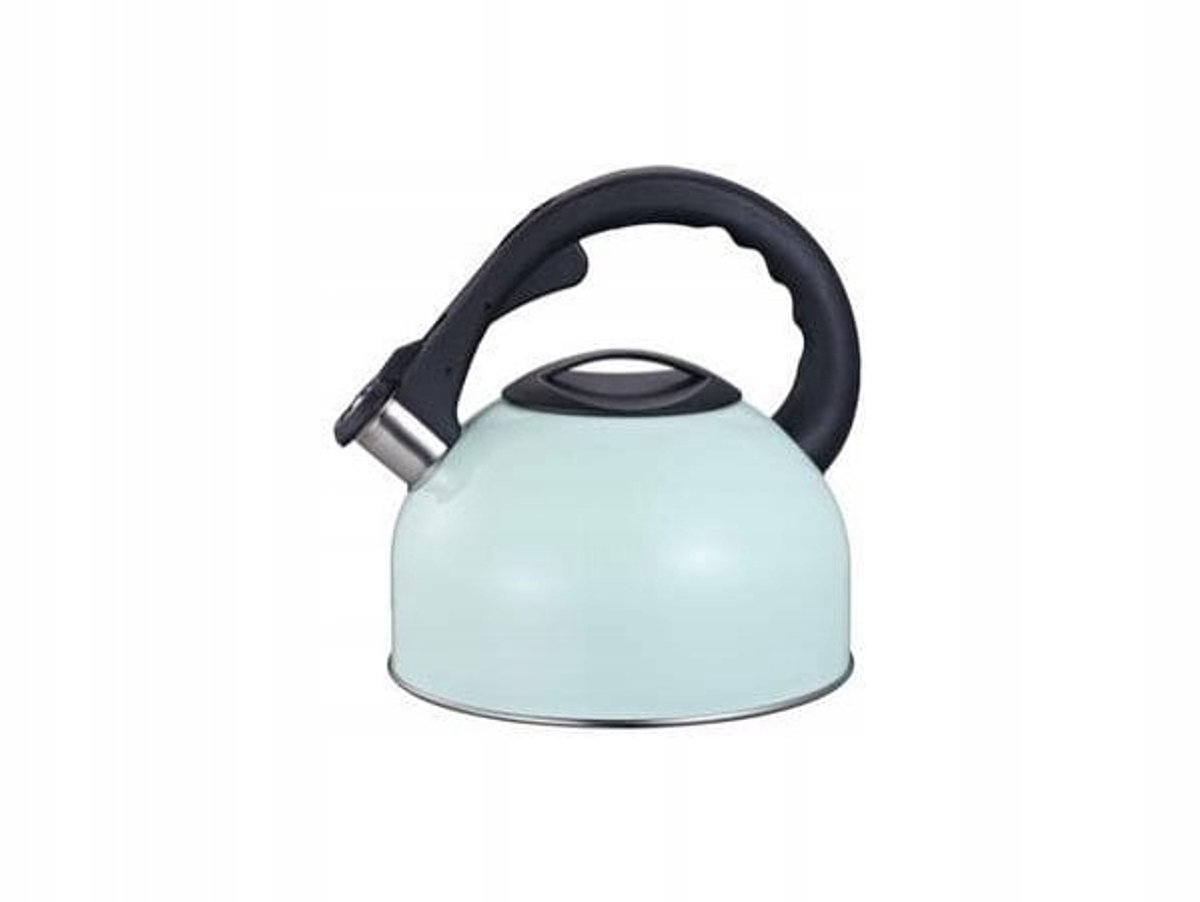 Roestvrijstalen Inductie Ketel 3L Mintgroen - Traditioneel Design