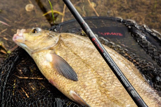 Gevangen vis in een schepnet met de 'Ultimate Allround Power Feeder' hengel erop.