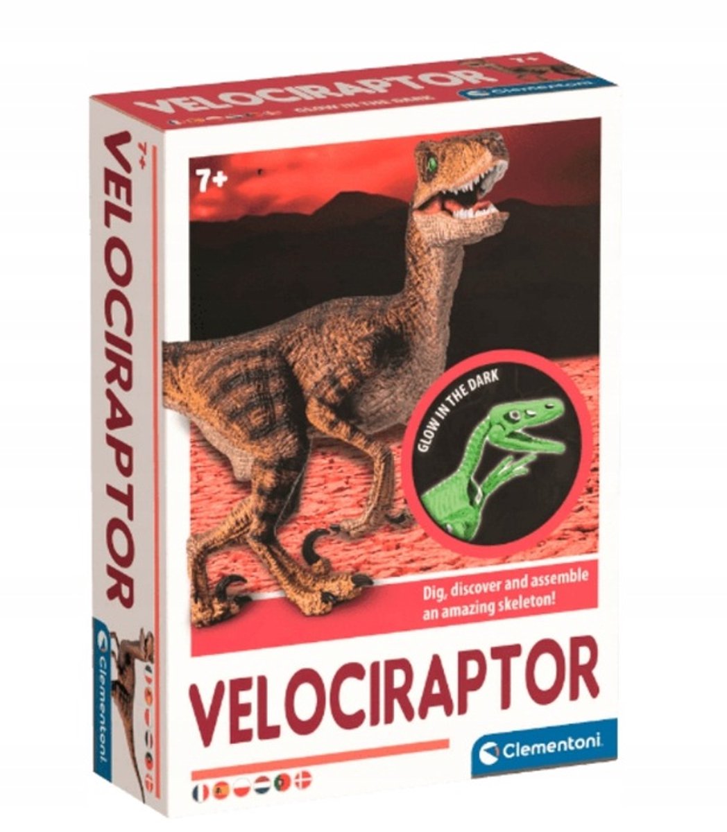 Clementoni Gloeiend Velociraptor-skelet - Archeologie Speelgoed