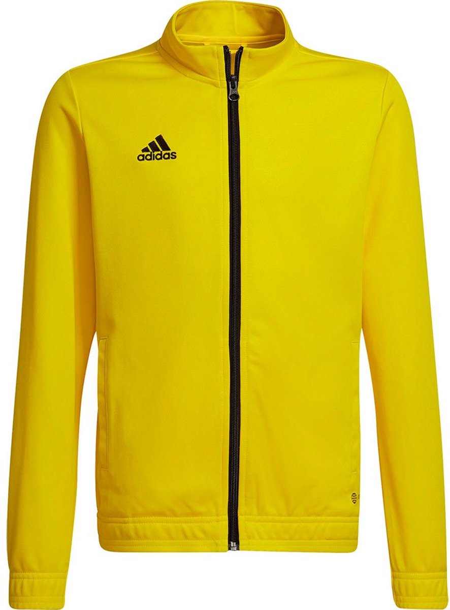 Adidas Entrada 22 Trainingsjack Geel 15-16 Years Jongens,Meisjes
