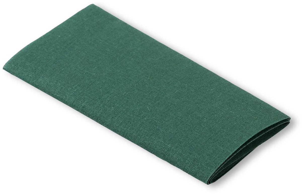 PRYM Verstelstuk CO opstrijkbaar 12x45cm groen 929405 - Prym