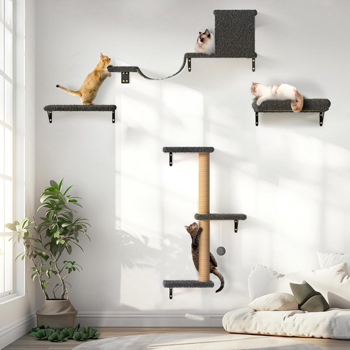 ZRSS® Katten Klimmuur - Klim Wand - Kattenspeelgoed - 4-delig
