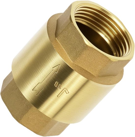 Terugslagklep 1 Inch 304 Roestvrij Staal DN25 Hoge Drukbestendigheid