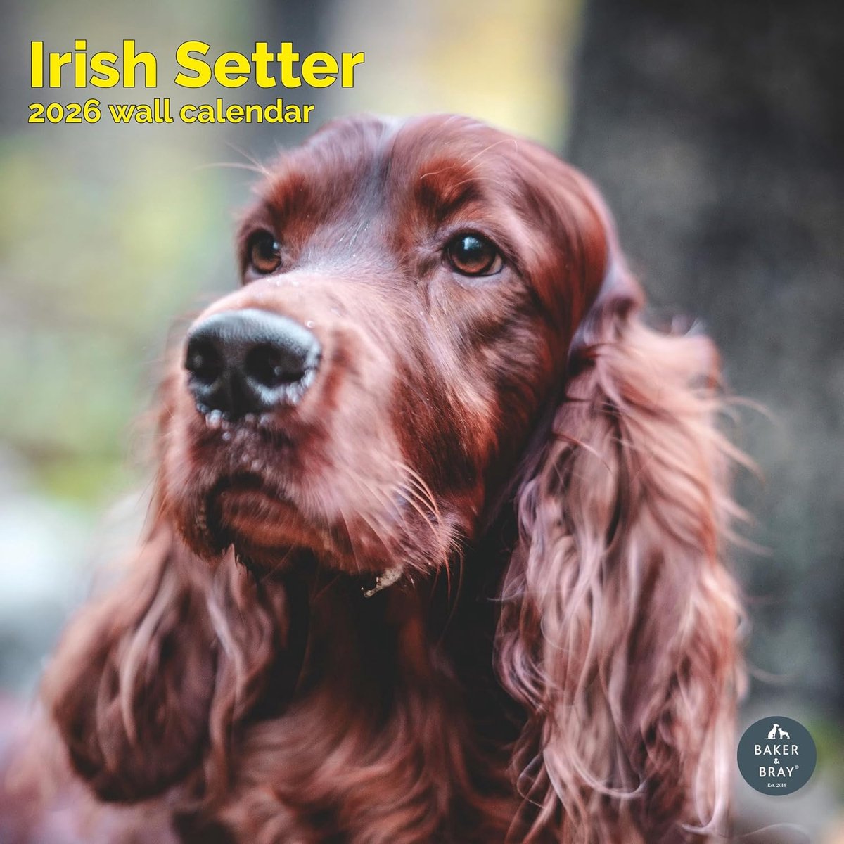 Ierse Setter Kalender 2027