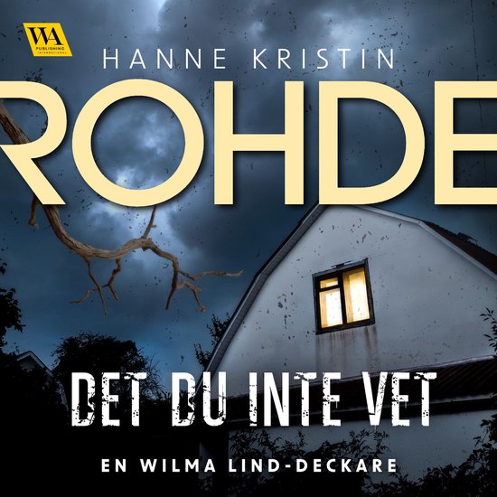 Det du inte vet - cover