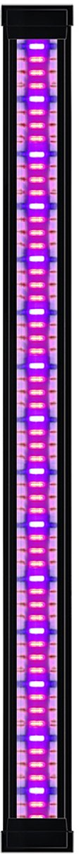 Ciano LED Plants Emotions CLE 80