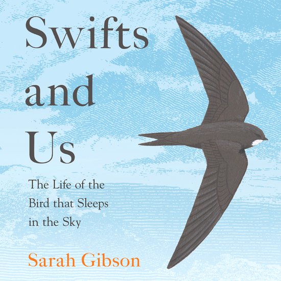 Swifts and Us - cover
