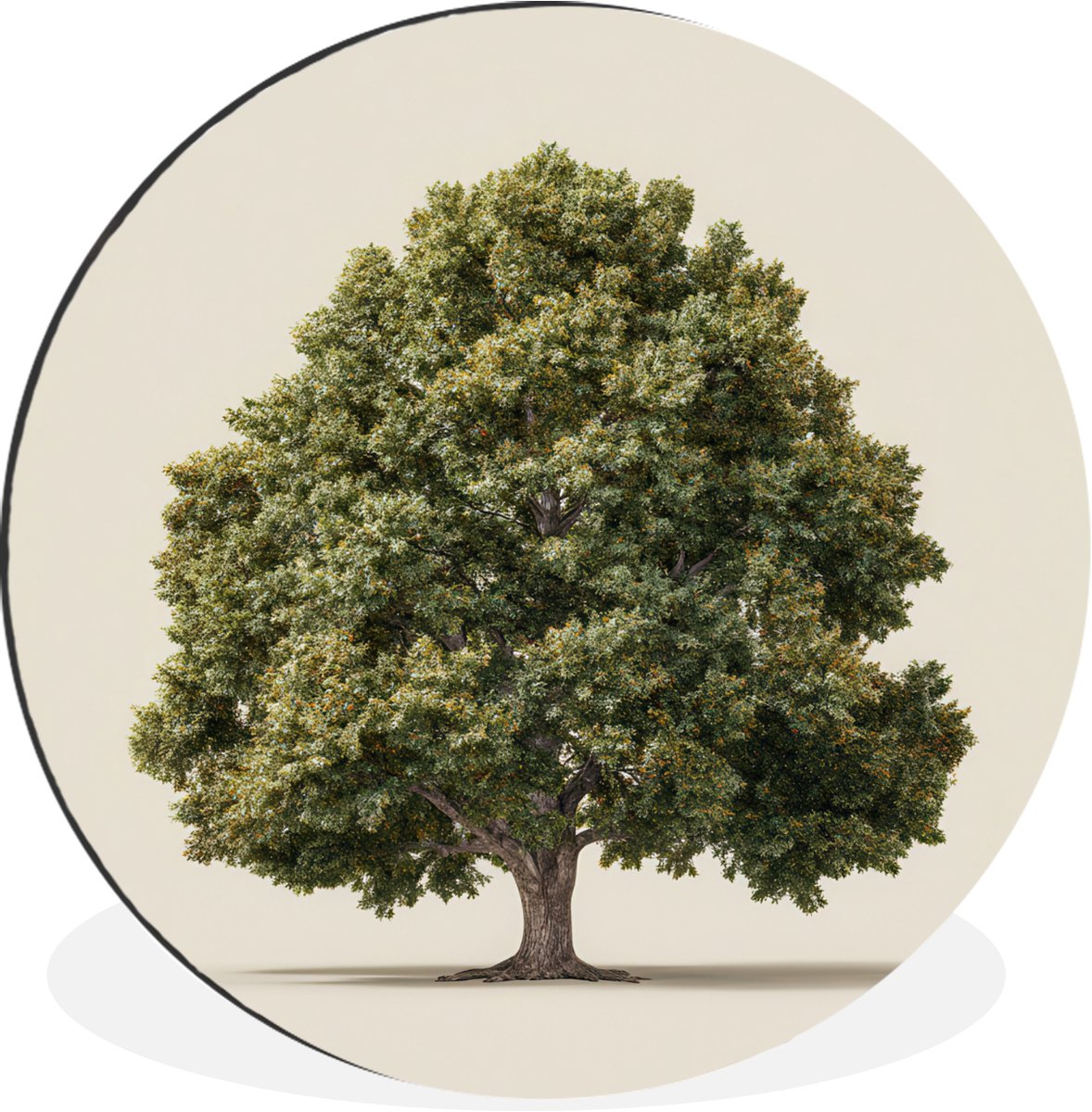 WallCircle Wandcirkel - Muurcirkel - Eikenboom - Groen - Lichte achtergrond - Aluminium - Dibond - 60x60 cm - Binnen en Buiten