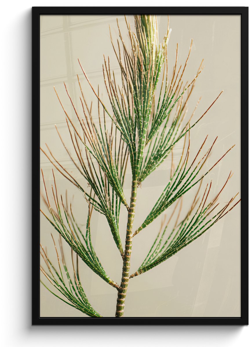 FrameYourWall Poster in lijst - Fotolijst 60x90 cm - Posters - Dennentak - Naaldvormige bladeren - Lichtgroen - Posterlijst zwart - Decoratie - Wanddecoratie woonkamer - Muurdecoratie slaapkamer