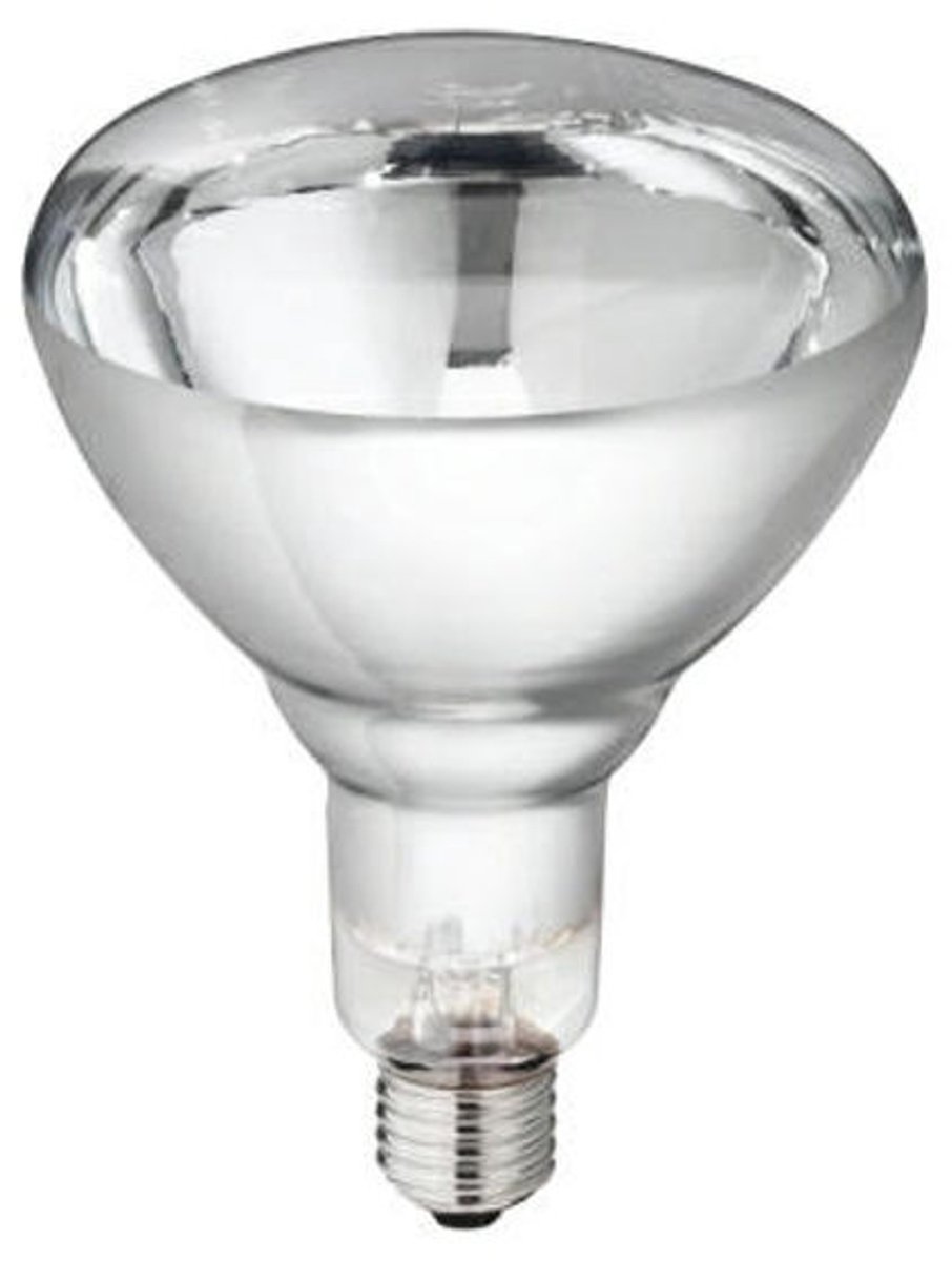 Warmtelamp Philips 250w. wit á 10 stuks.