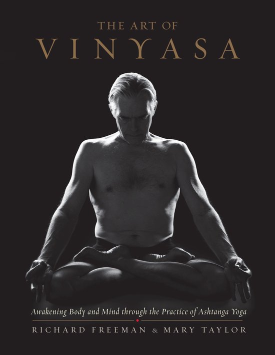 The Art of Vinyasa - cover