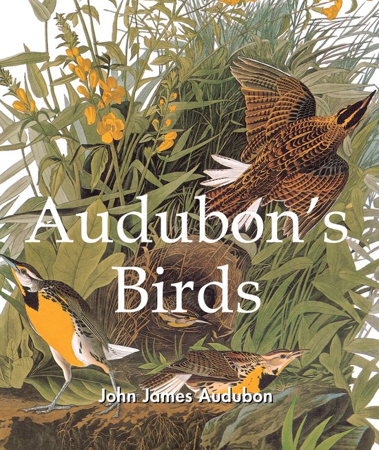 Audubon's Birds - cover