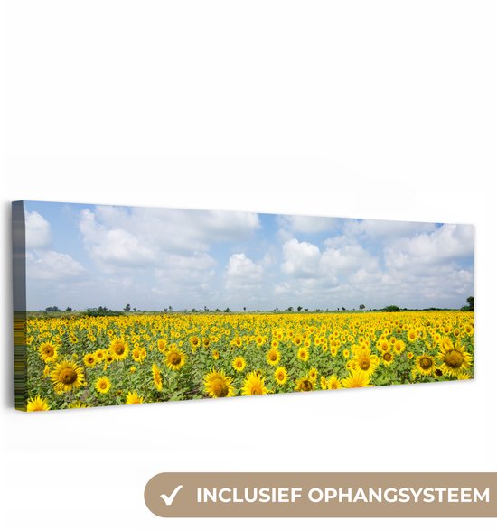 Canvas schilderij 150x50 cm - Wanddecoratie Zonnebloemen - Bloemen - Wolken - Natuur - Geel - Landschap - Muurdecoratie woonkamer - Slaapkamer decoratie - Kamer accessoires - Schilderijen op canvas