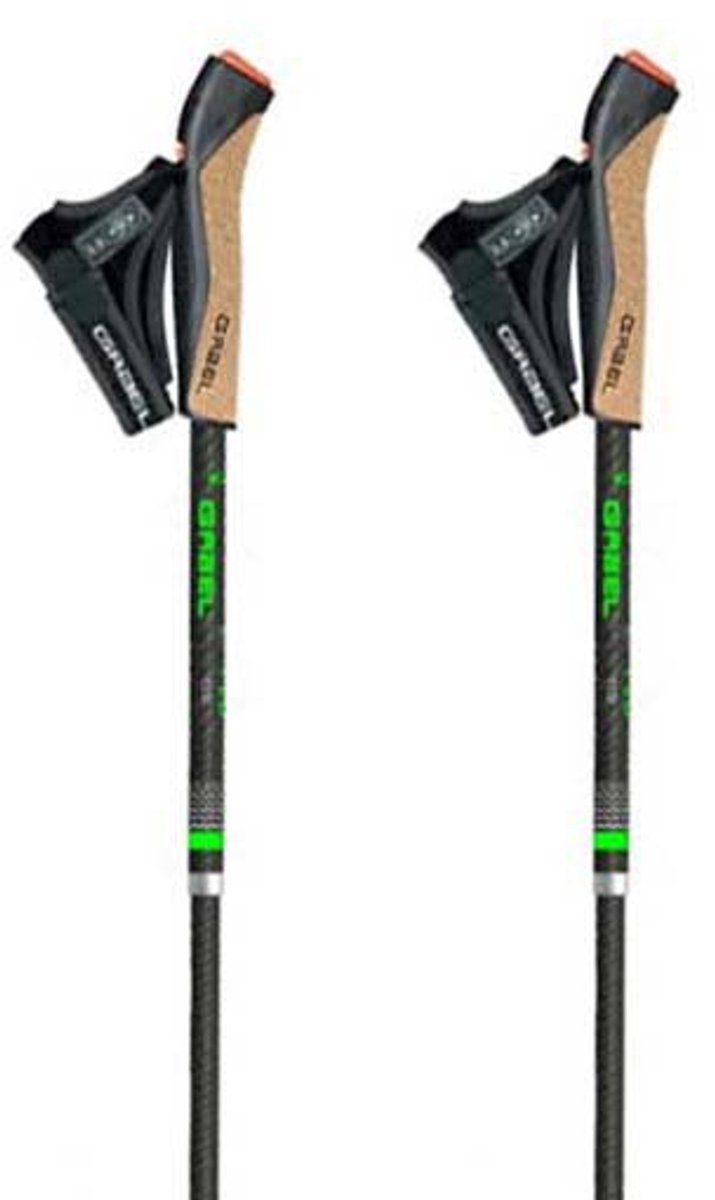 Gabel Fld Carbon Stokken Zilver 110 cm