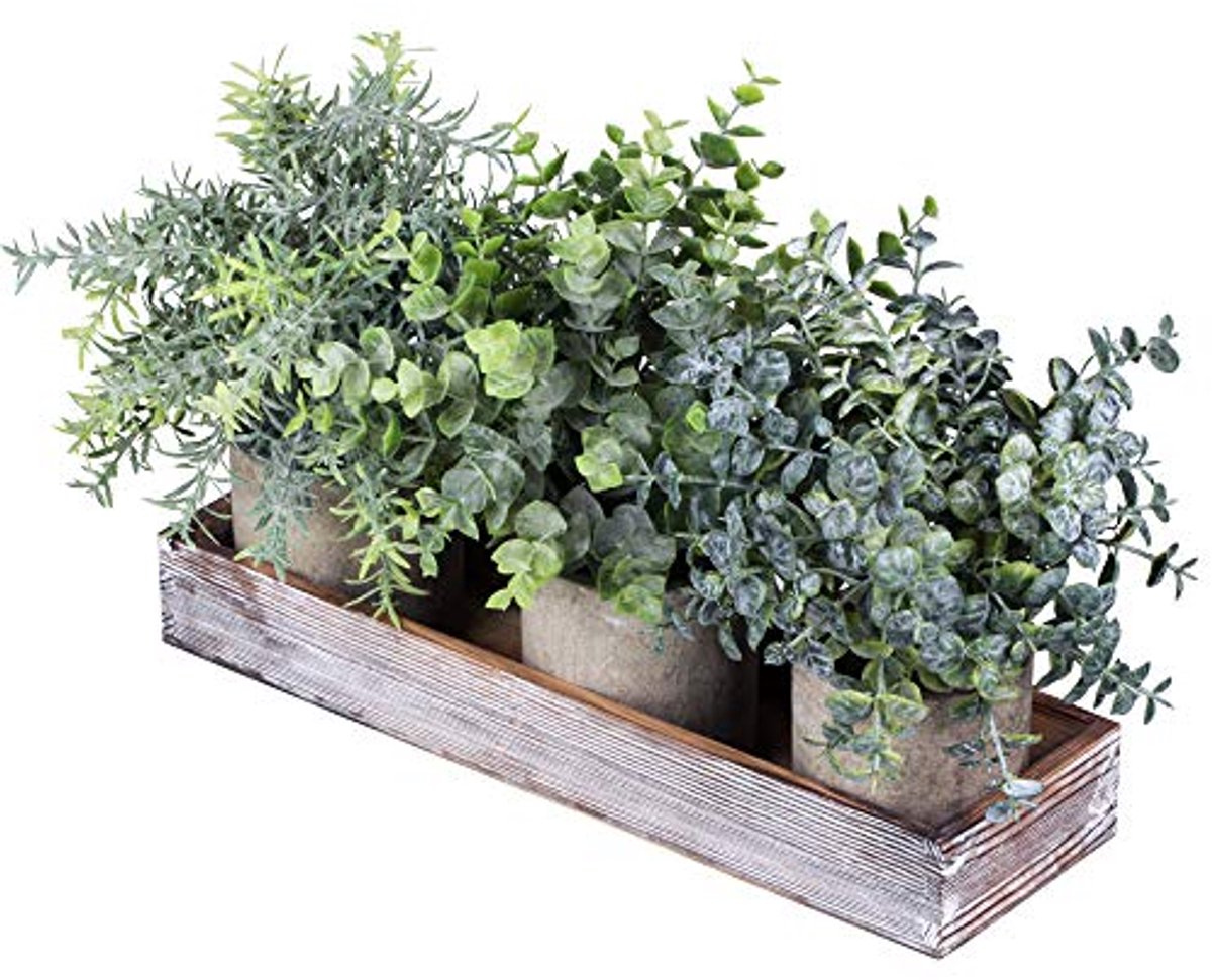 Set van 3 Mini Kunstplant Eucalyptus en Rozemarijn met Houten Pot voor Binnen