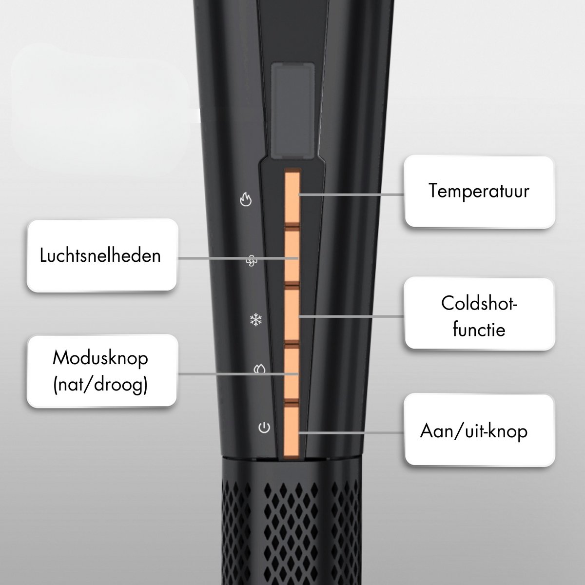 Sansbeauté Sansbeauté Sansbeauté - afbeelding 3