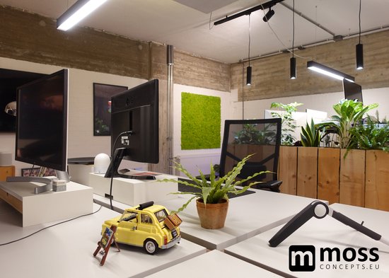 MOSS concepts Moswand paneel rendiermos springgroen