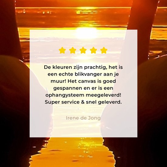 OneMillionCanvasses - Toile - Tableau - Cygne - Coucher de soleil - Water - Vogel - Toile - 40x80 cm - Décoration murale - Intérieur