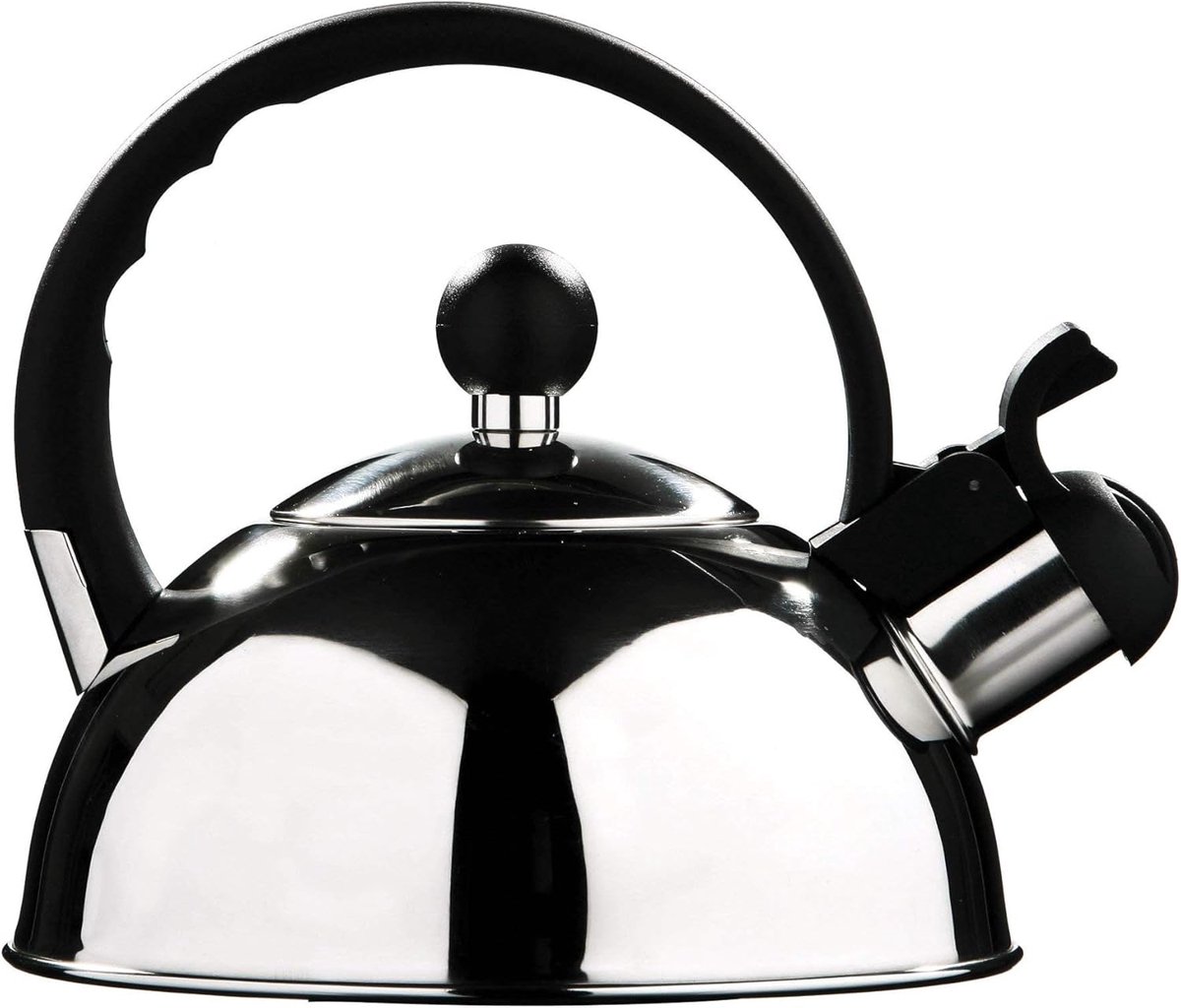 RVS Waterkoker 1.0 L - Reiswaterkoker en Fluitkoker met Spiegelafwerking