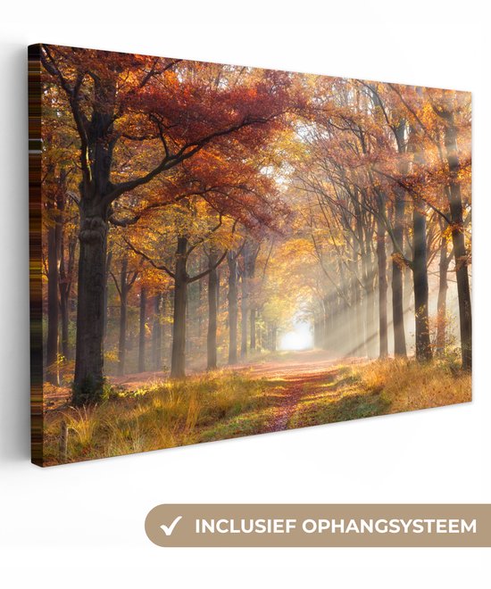 Toiles Peintures Automne - Forêt - Arbre - 30x20 cm - Décoration murale