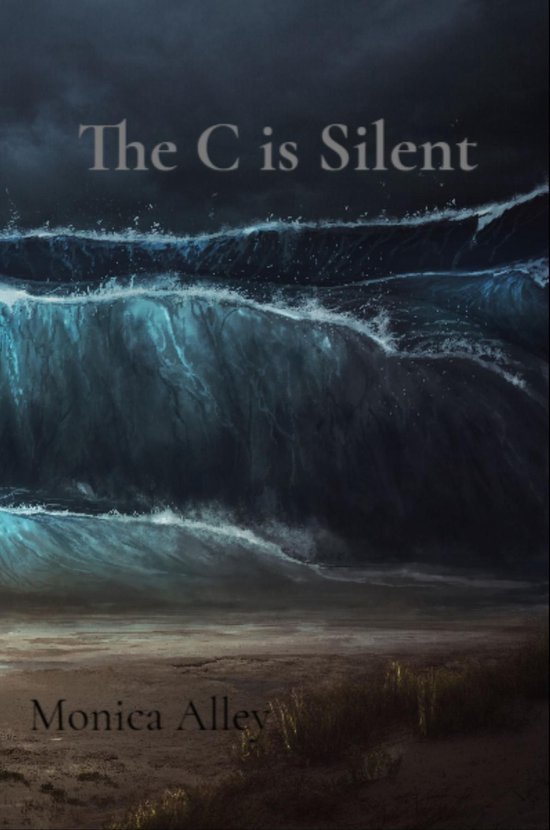 The C is Silent - cover