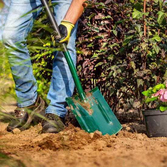 KADAX Spade, tuinspade om te graven, tuinschep met ergonomische steel, schep van metaal, grafschep voor tuin, schip, tuinspade, grafschep (rond met versterking, D-greep) van Merkloos	 — afbeelding 5