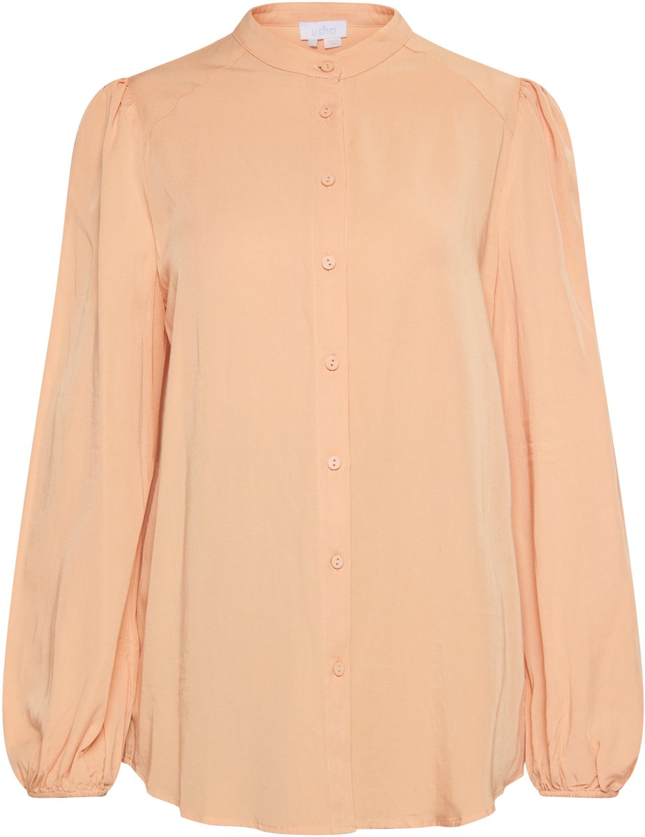 usha Blouse Fenia