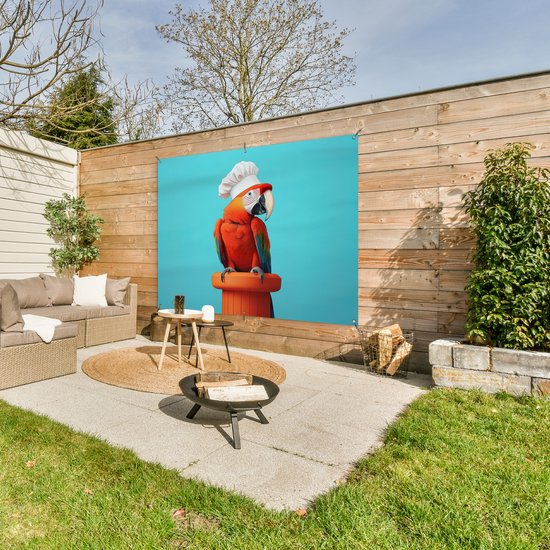 Tuinposter 160x120 cm - Tuindecoratie Ara - Koksmuts - Sokkel - Grappig - Poster voor in de tuin - Buiten decoratie - Schutting tuinschilderij - Tuindoek muurdecoratie - Wanddecoratie balkondoek