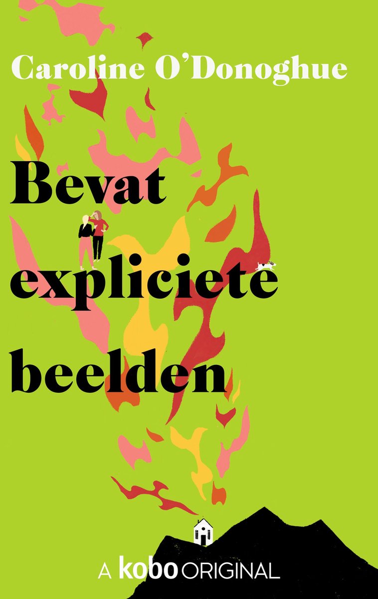 Omslag van Bevat expliciete beelden