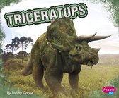 Dinosaurs - Triceratops