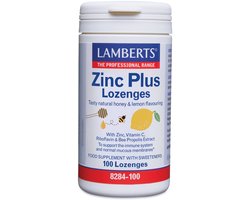 Lamberts Zink (zinc) plus 100 Zuigtabletten