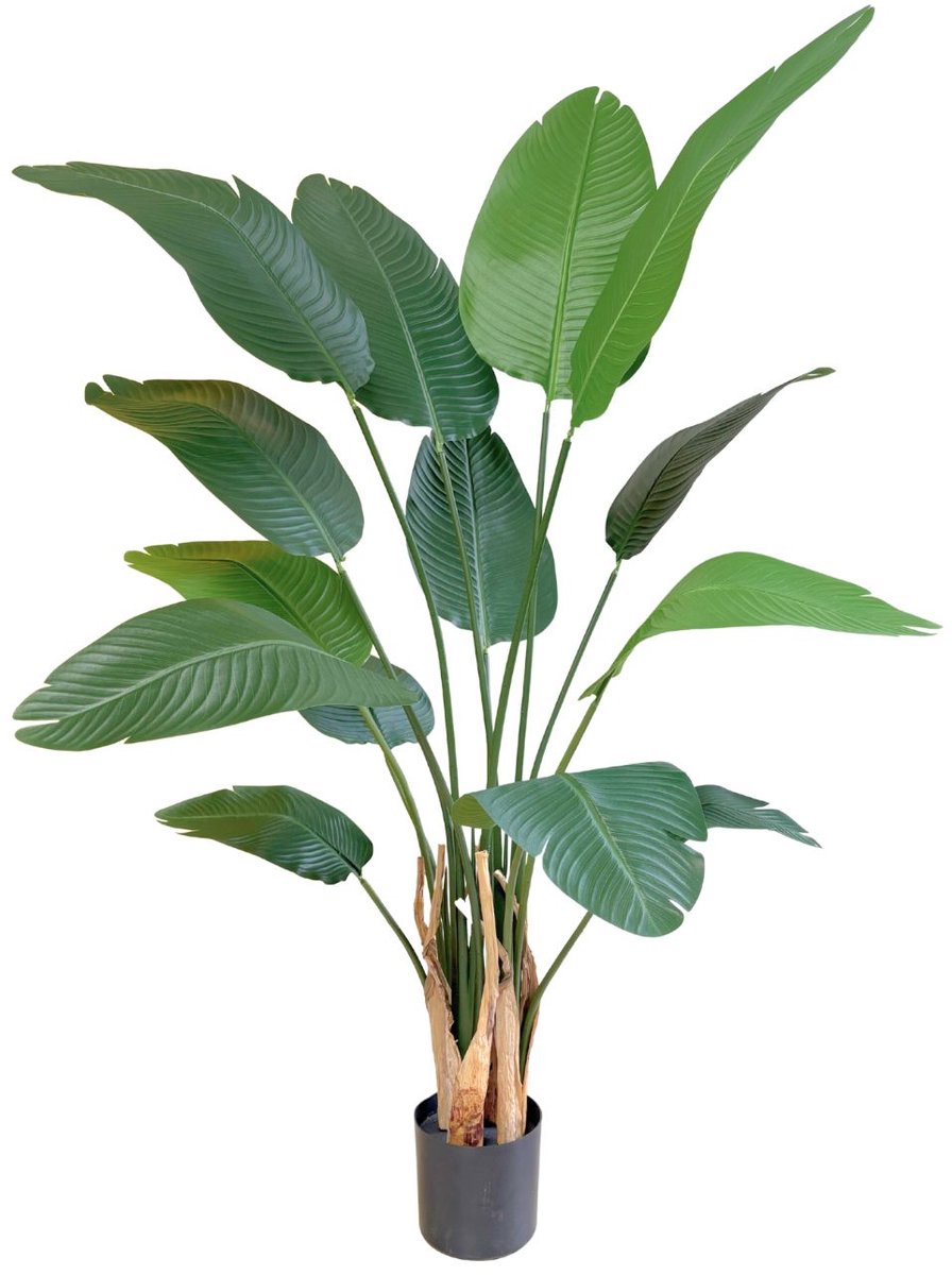 Strelitzia Kunstplant 160 cm | Strelitzia Nicolai Kunstplant Groen | Kunstplanten voor Binnen | Nep Strelitzia 160cm