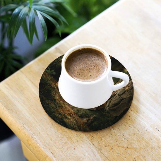 Sous-verres de verre ronds - Renard - Forêt - Dormant - 10 x 10 cm - Dessous de verre en verre - Lot de 6