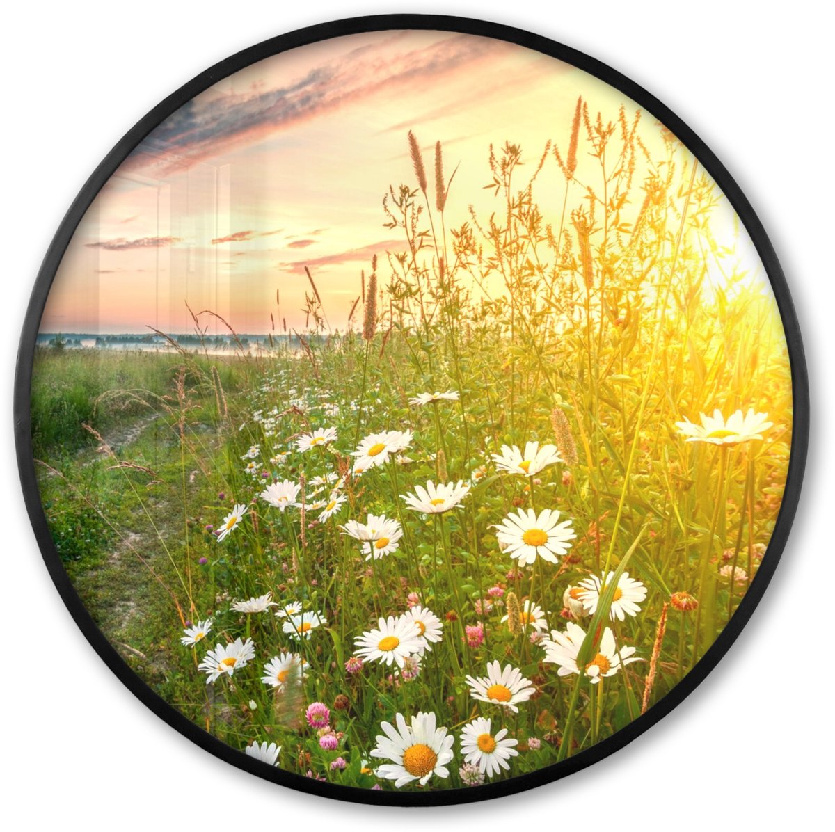FrameYourWall Poster in lijst Rond - Fotolijst 80x80 cm - Posters - Bloemen - Madelief - Natuur - Zon - Horizon - Ronde posterlijst zwart - Decoratie - Wanddecoratie woonkamer - Muurdecoratie slaapkamer