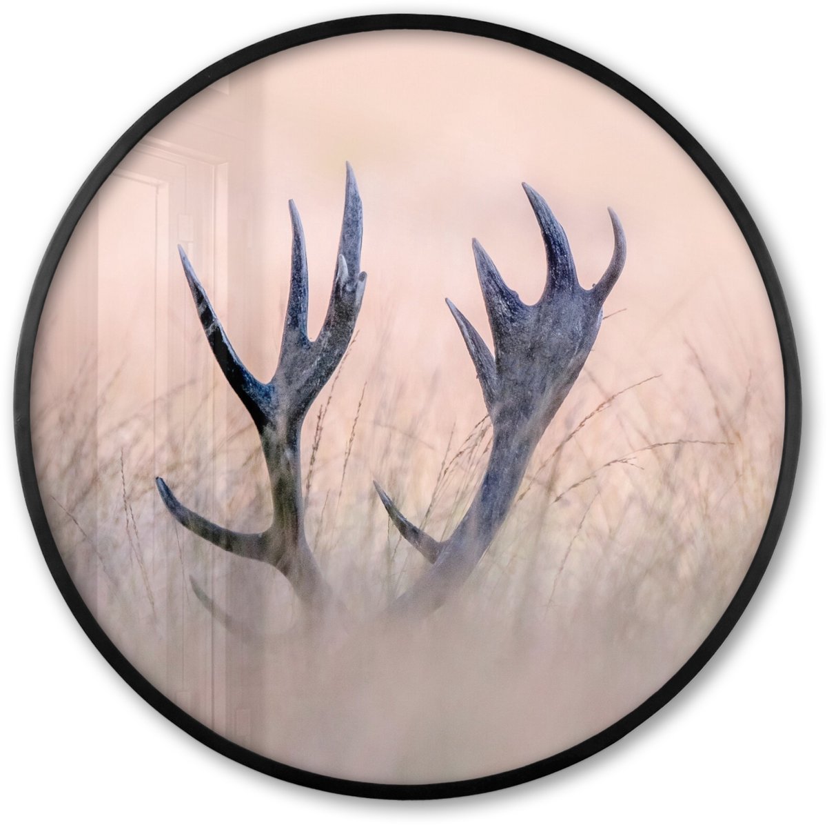 FrameYourWall Poster in lijst Rond - Fotolijst 80x80 cm - Posters - Gewei - Hert - Gras - Natuur - Ronde posterlijst zwart - Decoratie - Wanddecoratie woonkamer - Muurdecoratie slaapkamer Multicolor