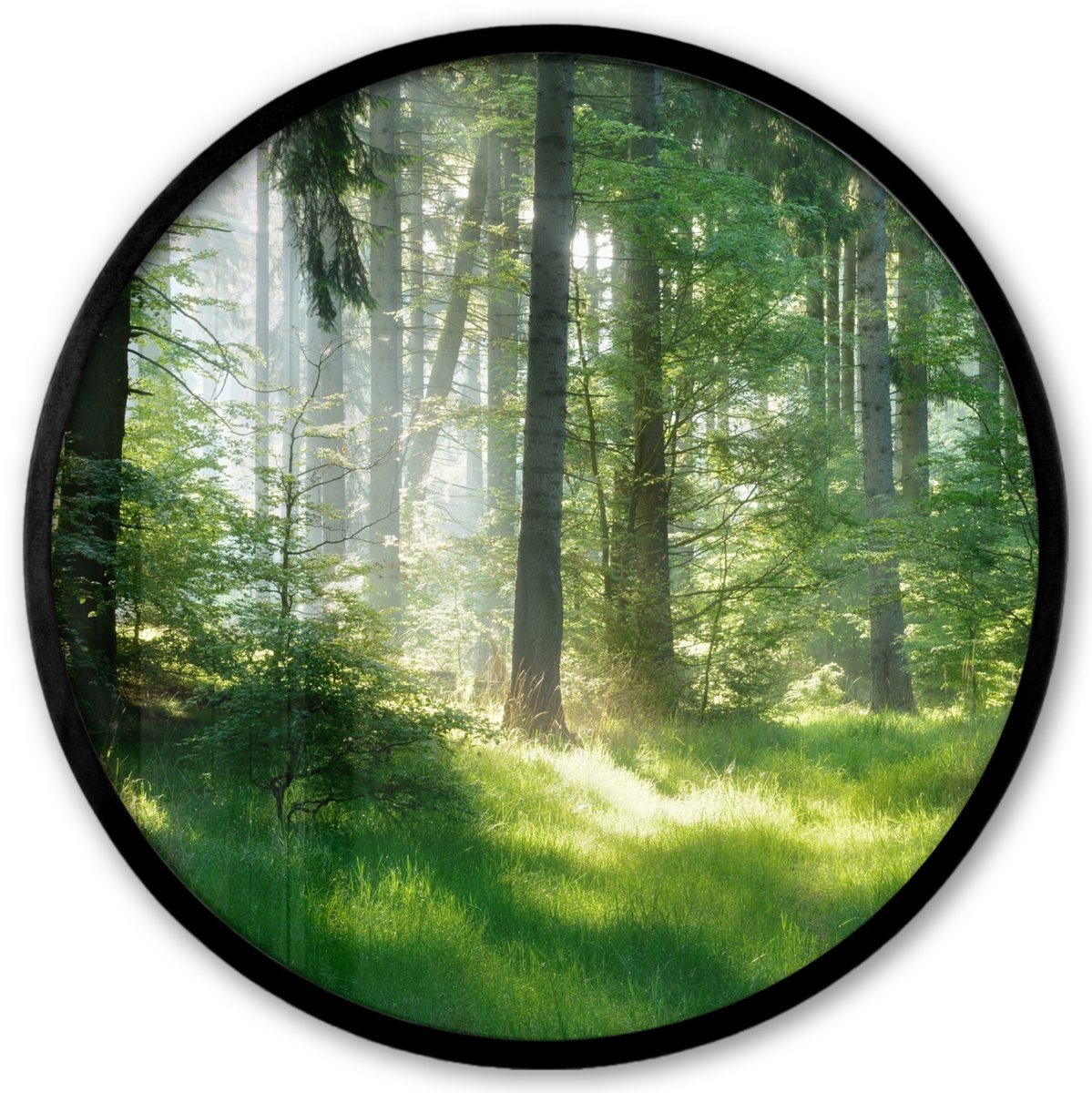 FrameYourWall Poster in lijst Rond - Fotolijst 40x40 cm - Posters - Natuur - Bomen - Bos - Groen - Zon - Gras - Planten - Ronde posterlijst zwart - Decoratie - Wanddecoratie woonkamer - Muurdecoratie slaapkamer
