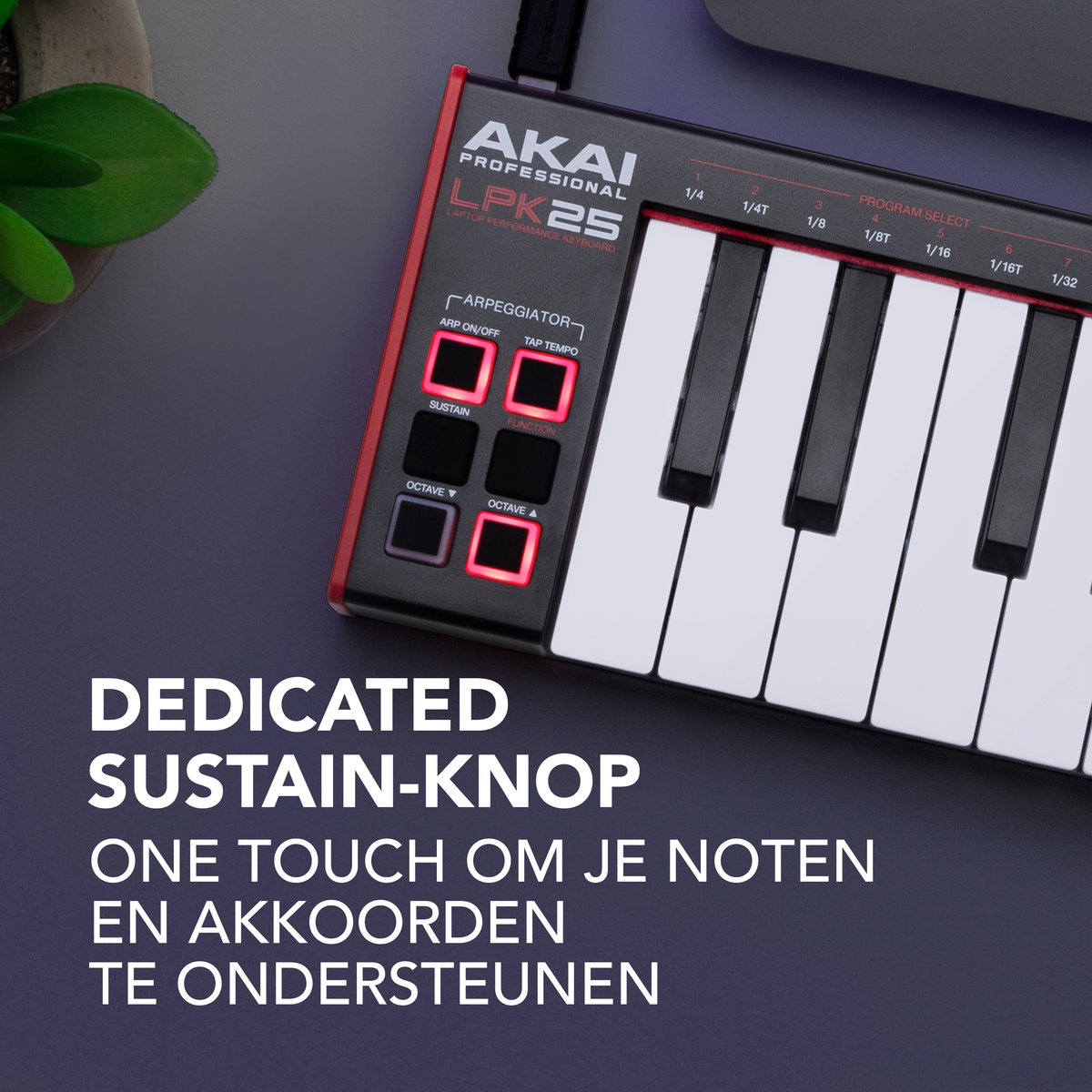 Akai Professional LPK25 - USB MIDI-Keyboardcontroller met 25 Responsieve Synth-Toetsen voor Mac en PC, Arpeggiator en Muziekproductiesoftware thumbnail 3