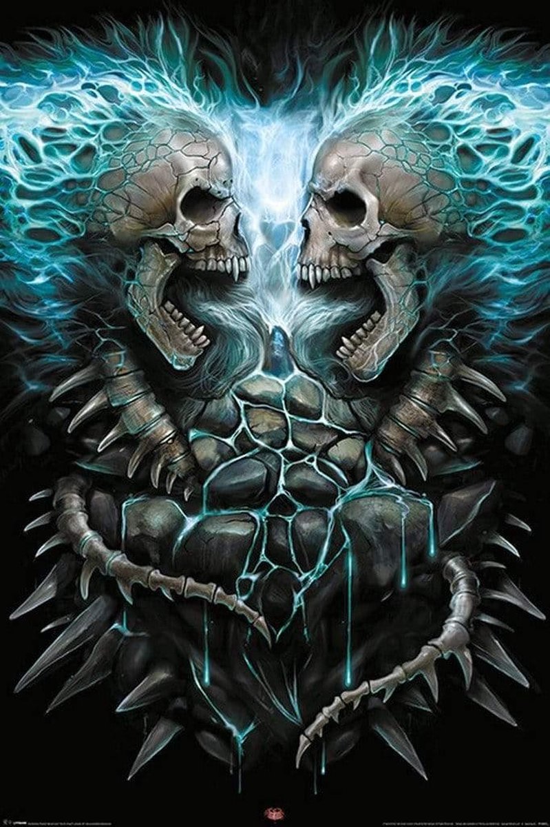 Spiral Flaming Spine - Maxi Poster