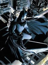 DC Comics: Batman Watcher Glass Poster 30 x 40 cm