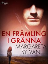 Magdalena Storm 2 - En främling i Gränna