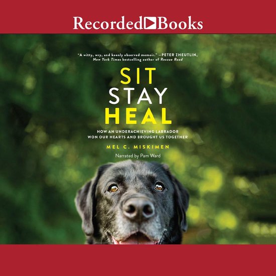 Sit Stay Heal - cover