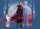 Disney poster Frozen Anna & Elsa blauw, paars en oranje - 600667 - 160 x 110 cm
