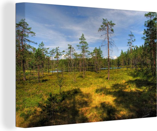 Foto: Canvas schilderij hoge bomen op de heide in het nationaal park skuleskogen in zweden 60x40 cm wanddecoratie