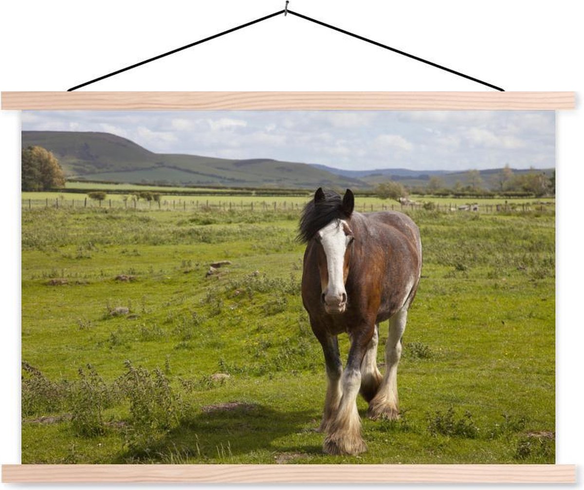Clydesdale paard in het grasland textielposter latten blank 150x100 cm - Foto print op schoolplaat (wanddecoratie woonkamer/slaapkamer) - TextilePosters