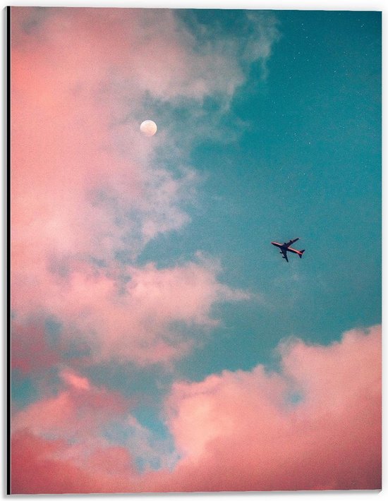 Dibond - Vliegtuig Bij De Roze Wolken - 30x40cm Foto op Aluminium (Met Ophangsysteem)