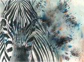 Aluminium Schilderij Zebra