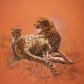 Renato Casaro - Cheetah Mother Kunstdruk 50x50cm