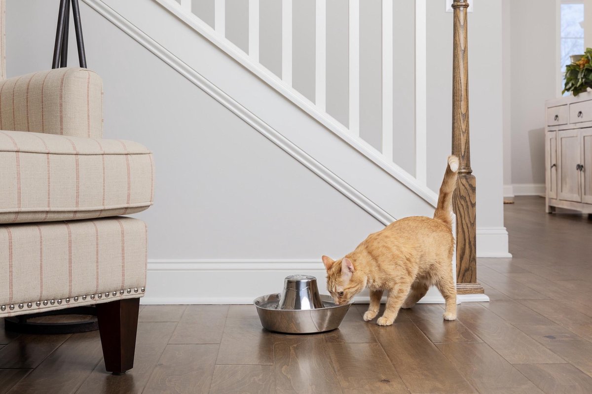 PetSafe Drinkwell Avalon Keramische Drinkfontein 2 Liter - Voor Honden En Katten Wit