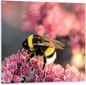 Tuinposter – Bij bestuif een Roze Bloem - 100x100cm Foto op Tuinposter  (wanddecoratie voor buiten en binnen)
